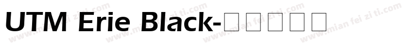 UTM Erie Black字体转换